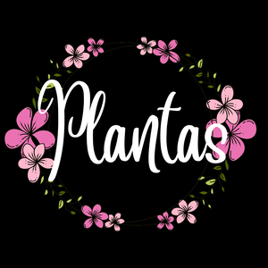 Plantas DesignedbyAng