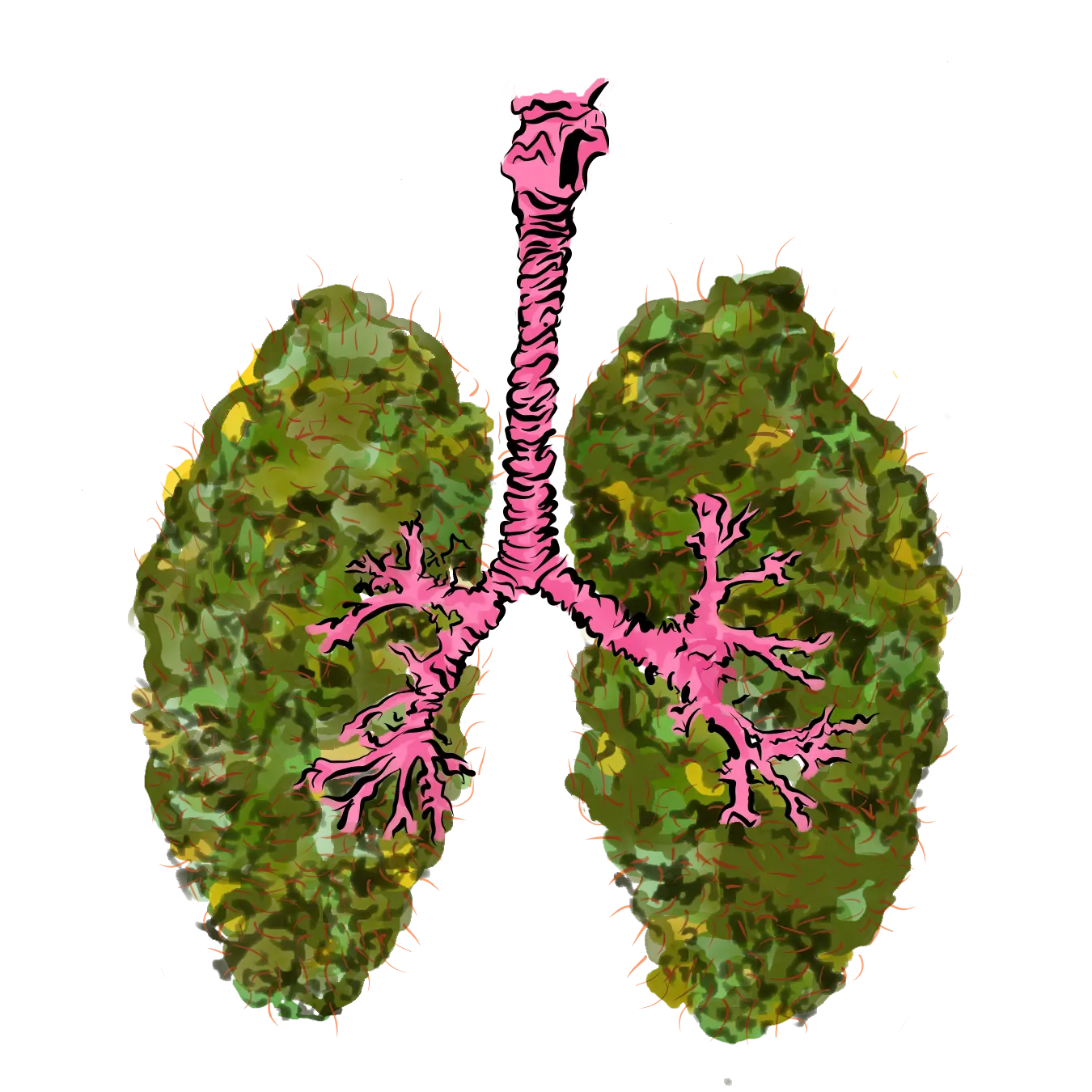  Lungs DesignedbyAng