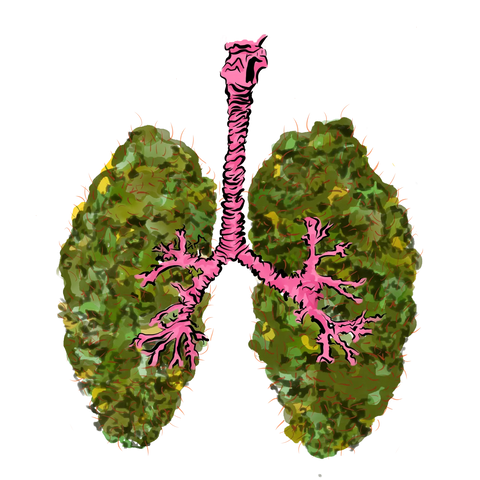  Lungs DesignedbyAng