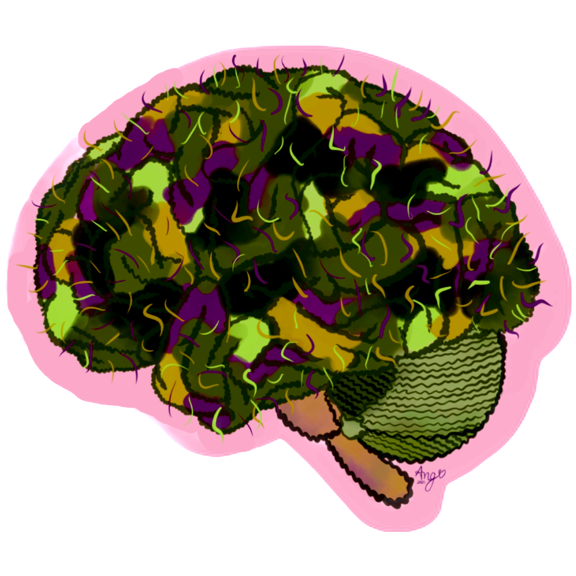  Brain Nug DesignedbyAng